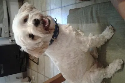 Sam
