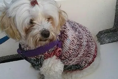 Sam