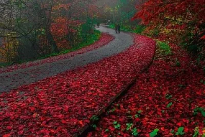 paisagem2 jigsaw puzzle