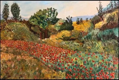 Champ de coquelicots