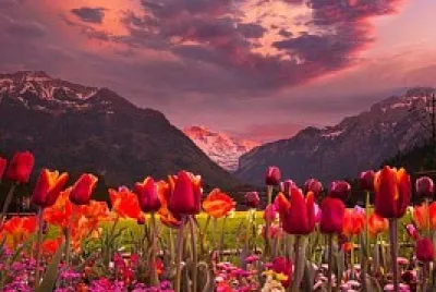 פאזל של NATURALEZA