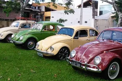 Fuscas jigsaw puzzle