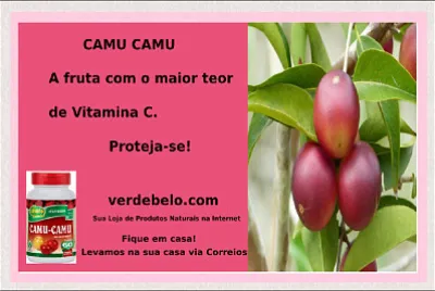 frutas