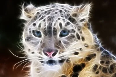 3d