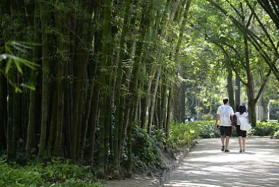Rio de Janeiro - Brasil