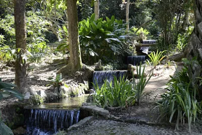 Rio de Janeiro - Brasil