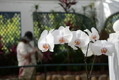 Rio de Janeiro - Brasil