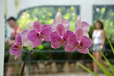 Rio de Janeiro - Brasil
