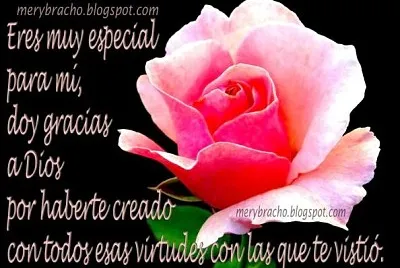 פאזל של rosal de ROSa