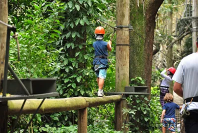 Lagoa - Rio de Janeiro - Brasil