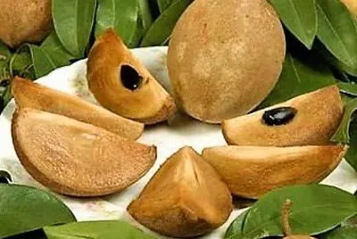 frutas