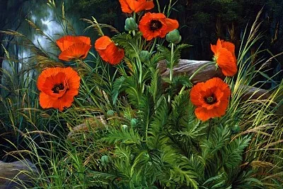 imagem jigsaw puzzle