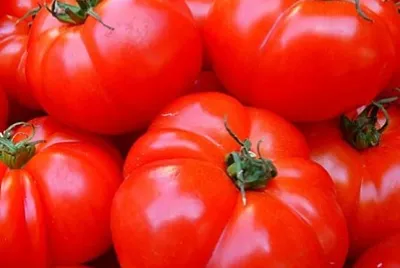 tomatoes
