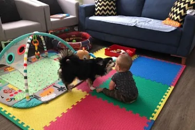 Nick beijando o Mimão