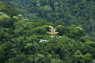 Floresta da Tijuca - RJ jigsaw puzzle