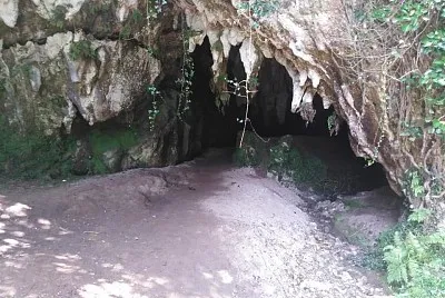 cubijeru