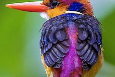 natural