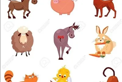 Animales