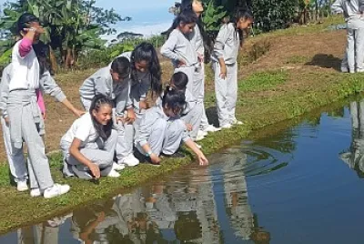 Octavo aÃ±o 2019