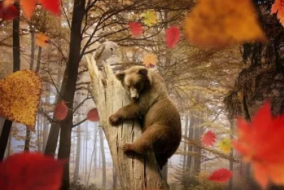 פאזל של OSO EN OTOÃ‘O