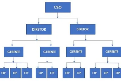 Estrutura-Organizacional