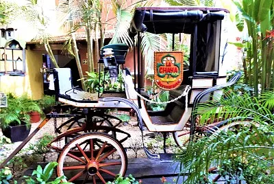 La Chaya en MÃ©rida, YucatÃ¡n.