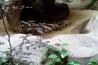 san juan de los morros