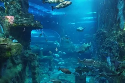 Aquarium San Sebastian