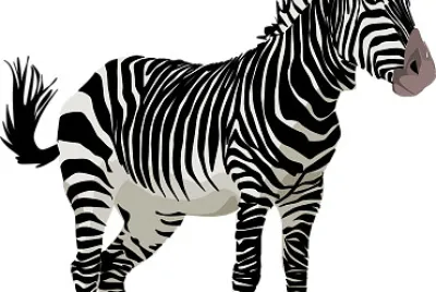 animal