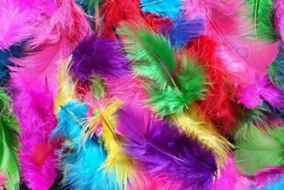 feathers jigsaw puzzle