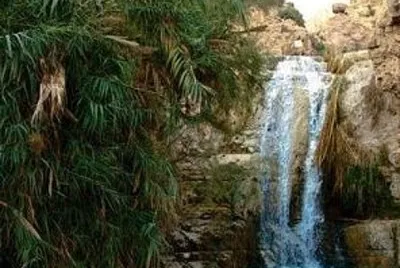 Nahal David
