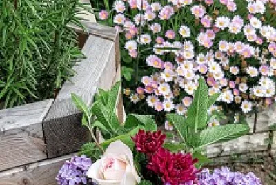 Dans mon jardin jigsaw puzzle
