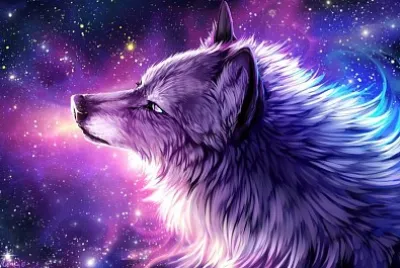 Anime Galaxy Wolves