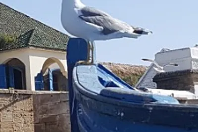 essaouira