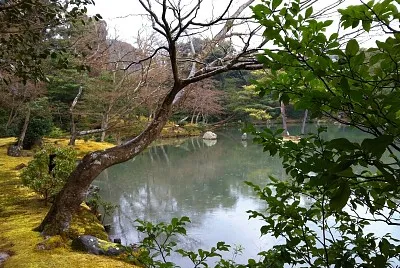 Japon - Kyoto - paysage 2