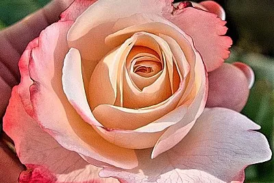 פאזל של flores