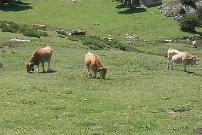 asturias