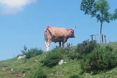 asturias