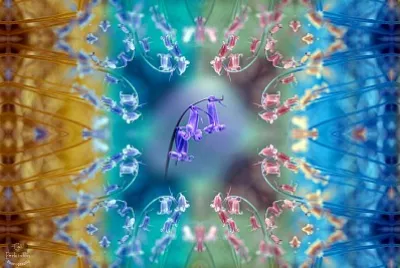 Bluebell kaleidoscope jigsaw puzzle