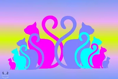 Cats colours jigsaw puzzle
