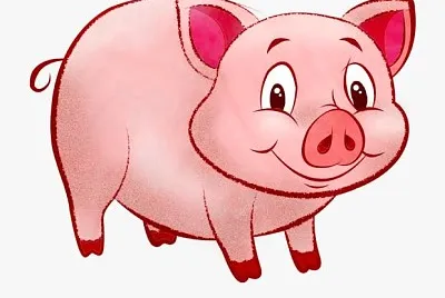 פאזל של Pig