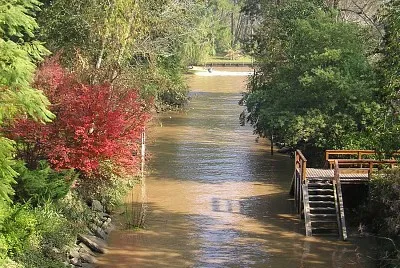 Delta del Tigre