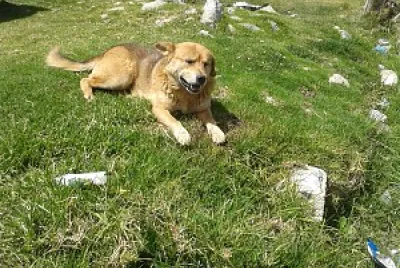 san rafael mucuchies jigsaw puzzle