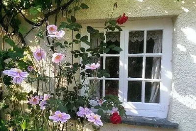 flores