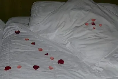 PÃ©tales de roses