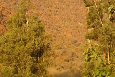 cerro Hijuelas