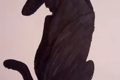 Gatoperro