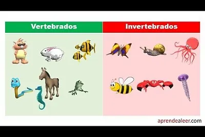 פאזל של Animales