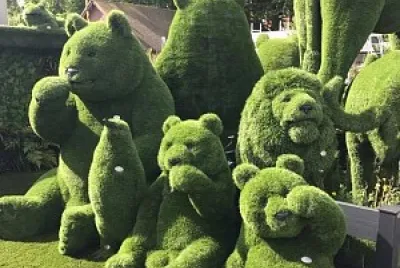 Famille ours