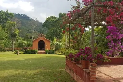 Pavas
